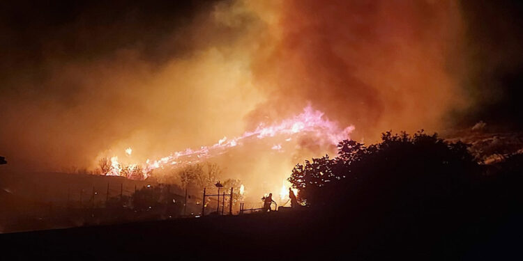 Marmara Adası'nda maki yangını