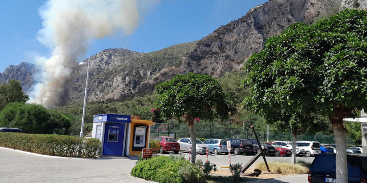 Milas'ta yerleşim yerlerine yakın alanda orman yangını