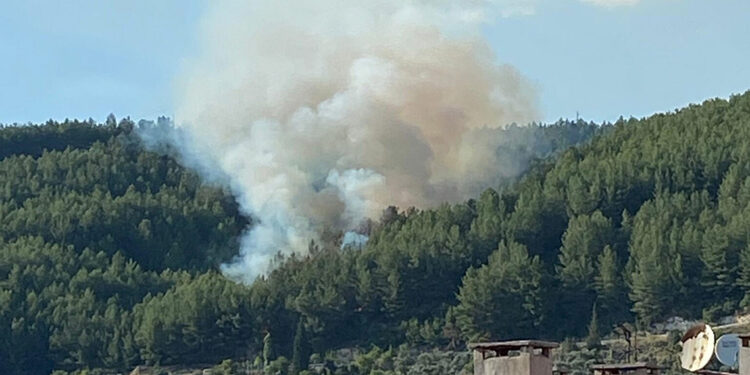 Muğla'nın Menteşe ilçesinde orman yangını