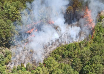 Muğla'nın Ula ilçesinde orman yangını