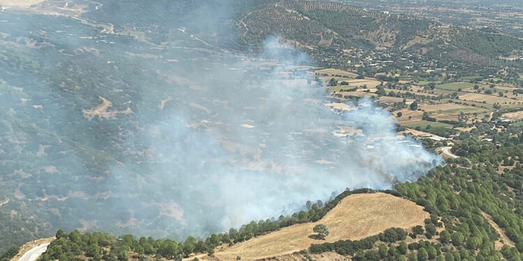 Ödemiş'te orman yangını çıktı