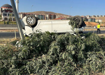 Otomobil ağaca ve direğe çarptı; aynı aileden 4 yaralı