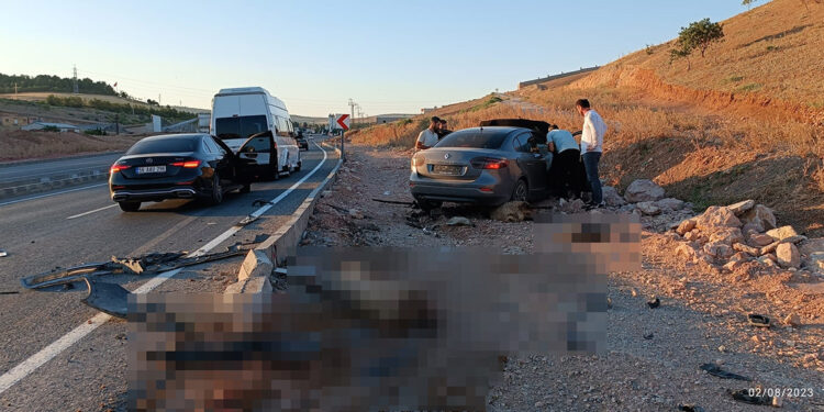 Otomobil küçükbaş sürücüne daldı: 4 koyun öldü