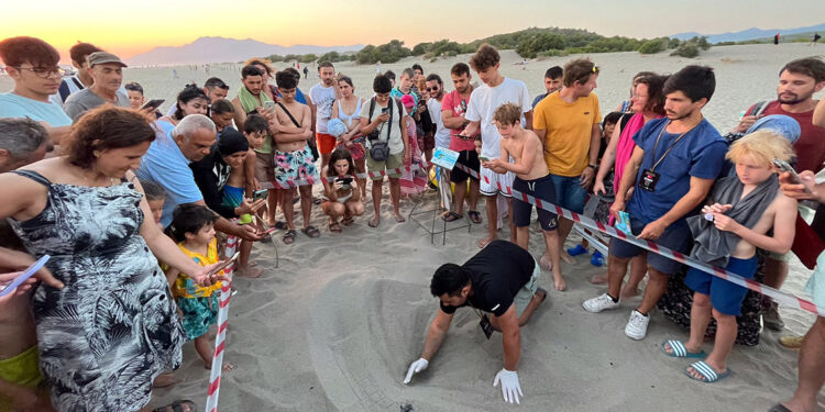Patara'da deniz kaplumbağası yuva sayısında rekor