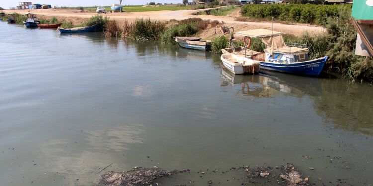 Seyhan Nehri'nin Akdeniz'e döküldüğü noktada kirlilik alarmı