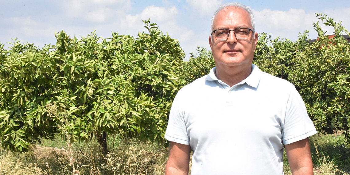 Sıcak hava dalgası meyvelerde 'güneş yanığı' oluşturdu