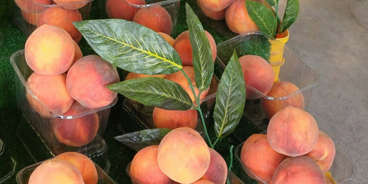 Sıcak hava dalgası meyvelerde 'güneş yanığı' oluşturdu