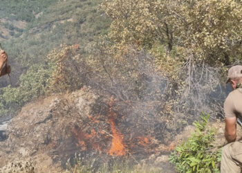 SİİRT’in Pervari ilçesinde meşe ormanında çıkan yangın, ekiplerin 52 saatlik çalışmasıyla söndürüldü. Yangında 3 orman işçisi dumandan etkilenirken, 5 dönüm arazi zarar gördü. Pervari ilçesi, Doğan köyü Karamık mezrasındaki meşe ormanında 9 Ağustos’ta bilinmeyen nedenle yangın çıktı. Şehit Jandarma Uzman Çavuş Ercan Özcan üs bölgesinde görevli Jandarma ekiplerinin ihbarıyla bölgeye, Siirt ve çevre illerin Orman İşletme müdürlükleri ekipleri sevk edildi. Yangına, 5 arazöz, İl Özel İdare Müdürlüğü’ne ait 3 iş makinesi, İl Jandarma Komutanlığı Jandarma Komando Tabur Komutanlığı ve güvenlik korucularından oluşan 100 personel ile yol çalışması yapan bir firmanın personel ve iş makineleri de destek verdi. Jandarma ekiplerinin hava araçları ile bölgeyi izleyerek yer ekiplerini yönlendirdiği yangın, 52 saatlik süren çalışmayla dün saat 18.00 sıralarında kontrol altına alınarak söndürüldü. Söndürme çalışmaları sırasında 3 orman işçisi dumandan etkilendi. Yangında 5 dönüm orman arazisi zarar gördü. Yangının çıkış nedeninin belirlenmesi için çalışma başlatıldı.