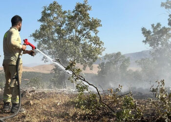 Siirt'teki orman yangını, 17 saatte kontrol altına alındı