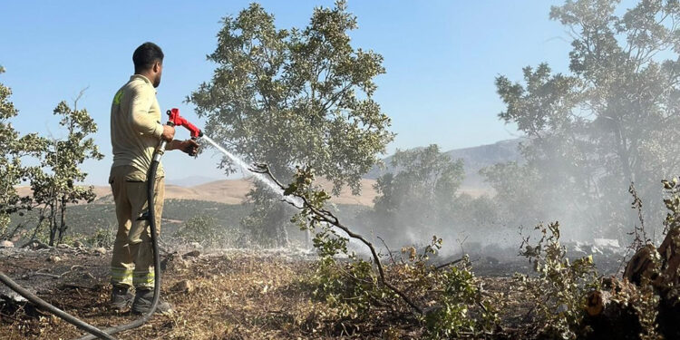 Siirt'teki orman yangını, 17 saatte kontrol altına alındı