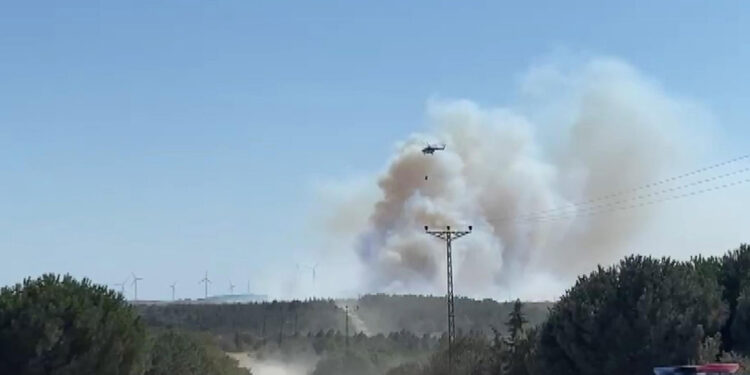Silivri'de orman yangını çıktı