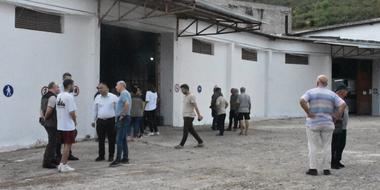 TMO, Ordu'da fındık alımına başladı