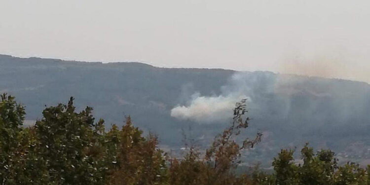 Tekirdağ'da orman yangını çıktı