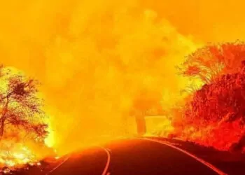 Tenerife orman yangınlarında 13 bin kişi tahliye edildi
