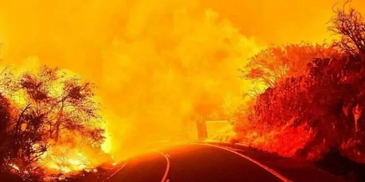 Tenerife orman yangınlarında 13 bin kişi tahliye edildi
