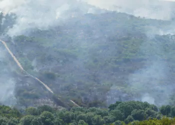 Türkiye-bulgaristan sınırındaki ormanda yangın