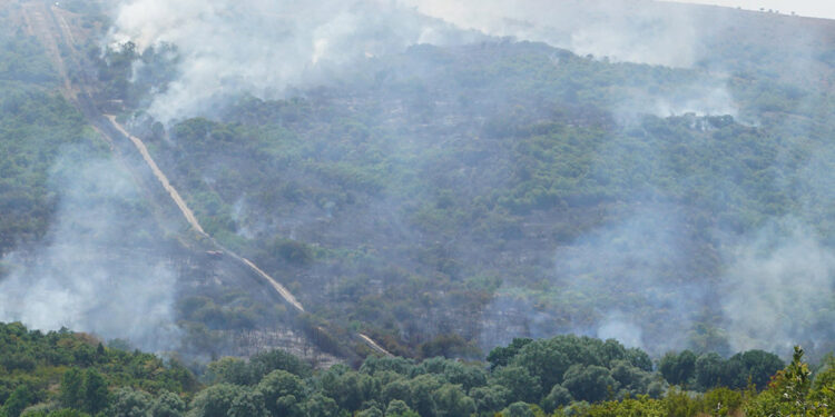 Türkiye-Bulgaristan sınırındaki ormanda yangın