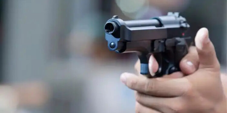 Türkiye'de 36 milyona yakın ruhsatsız silah var