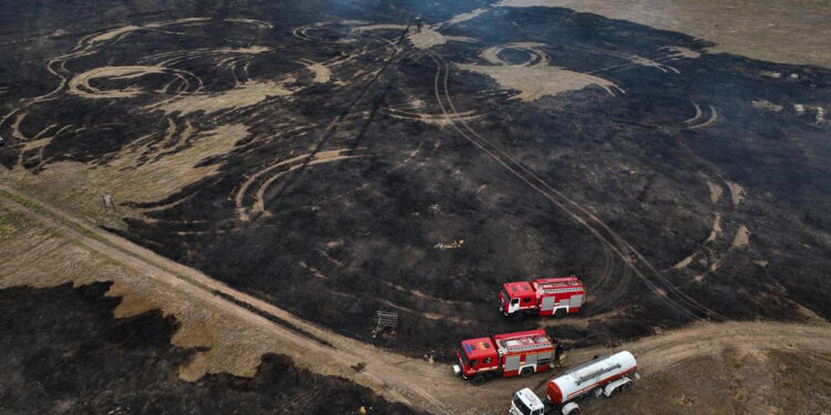 Ukrayna'da çalı yangını: 200 bin metrekare alan yandı