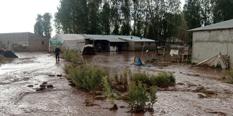 Van'daki dolu ve sağanak sele neden oldu
