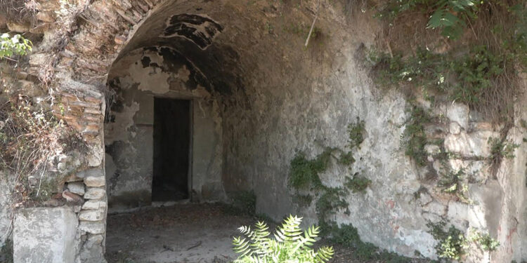 YTÜ'deki tarihi 'fil ahırı' öğrenci kantini oluyor