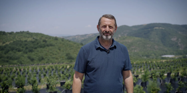 Yalova’ya yaban mersini üretim çiftliği kuruluyor