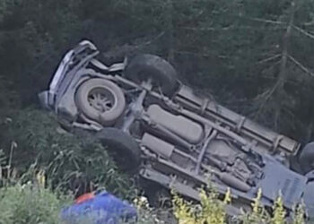 Yamaçtan yuvarlanan ağaç kamyonete çarptı: 1 ölü, 1 yaralı