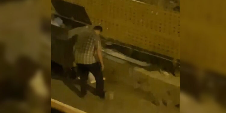 Yavru kedileri ayağıyla ezip öldürdü