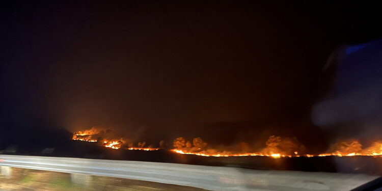 Yunanistan'daki orman yangınlarında 18 kişinin cesedi bulundu