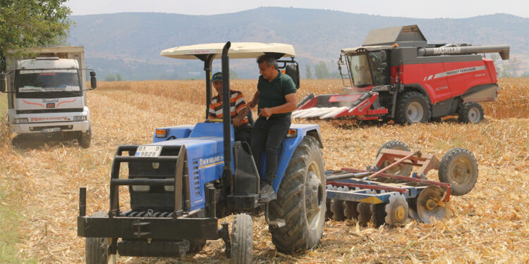 Mısırda taban fiyat bekleniyor