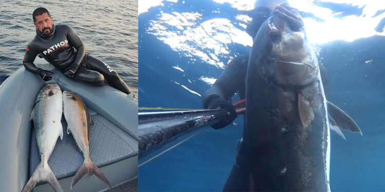 Zıpkınla 22 kiloluk akya avladı