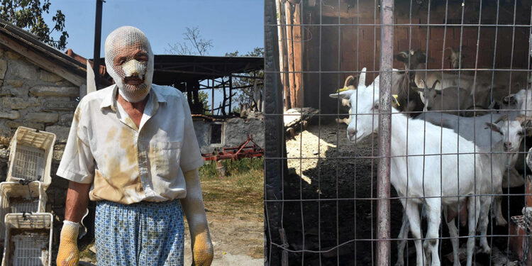 Çanakkale'deki yangında ölümden döndü