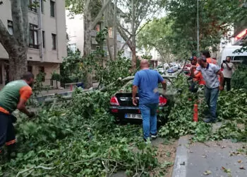 Ankara'da kuvvetli rüzgarda ağaçlar devrildi