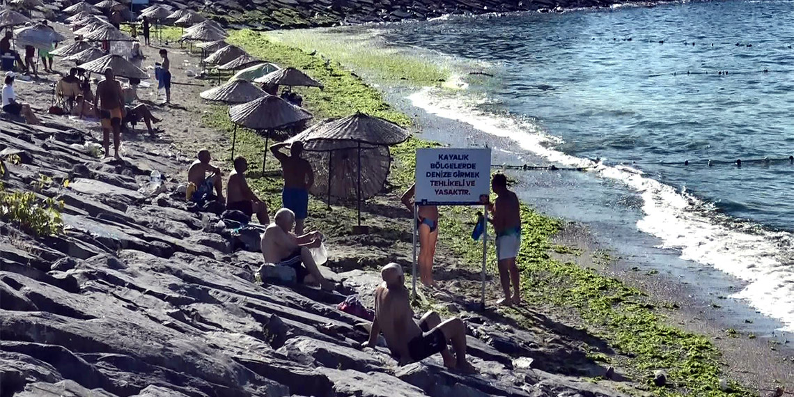 Avcılar Belediyesi Plajı yosunla kaplandı