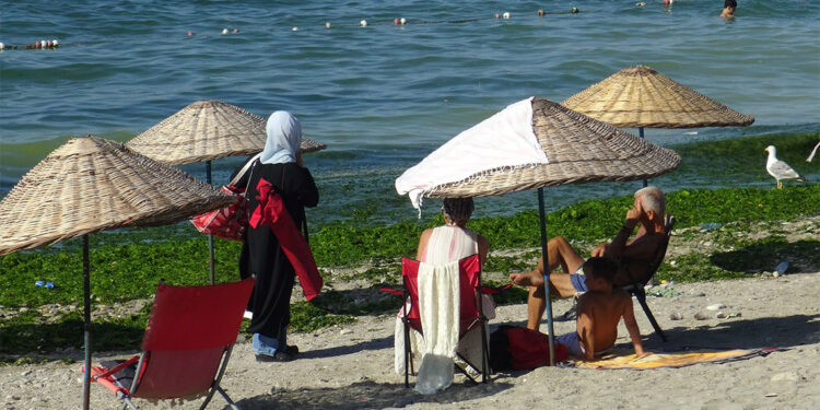 Avcılar Belediyesi Plajı yosunla kaplandı