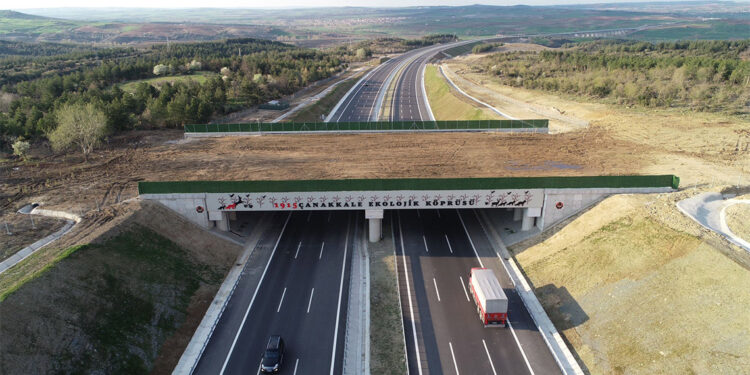 Ekolojik köprü sayısını artıracağız
