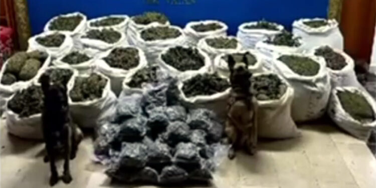 Bingöl'de yüksek miktarda uyuşturucu ele geçirildi