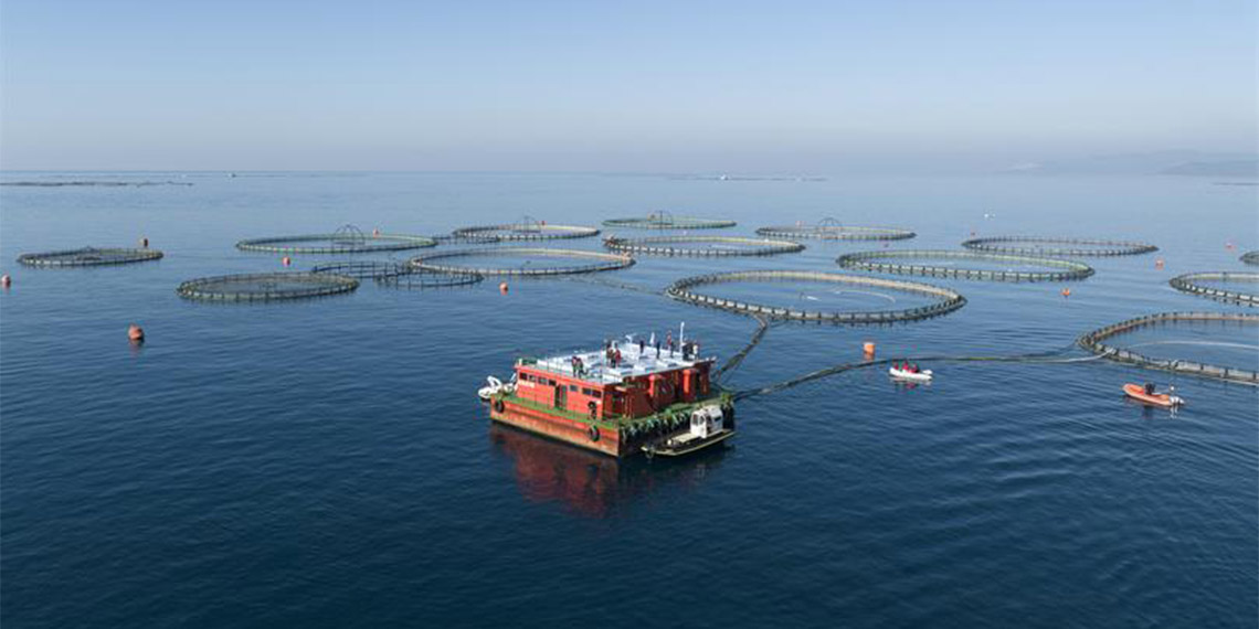 Yasa dışı balık avcılığı ile mücadele; 1263 kişiye ceza