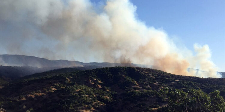 Bingöl'de çıkan orman yangını kontrol altına alındı