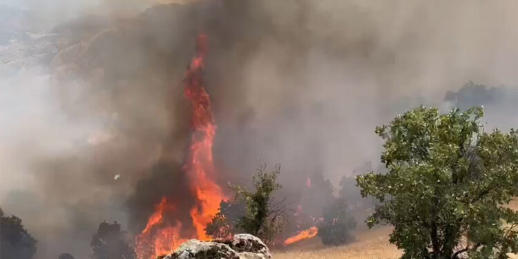Bingöl'deki orman yangınında 2'nci gün