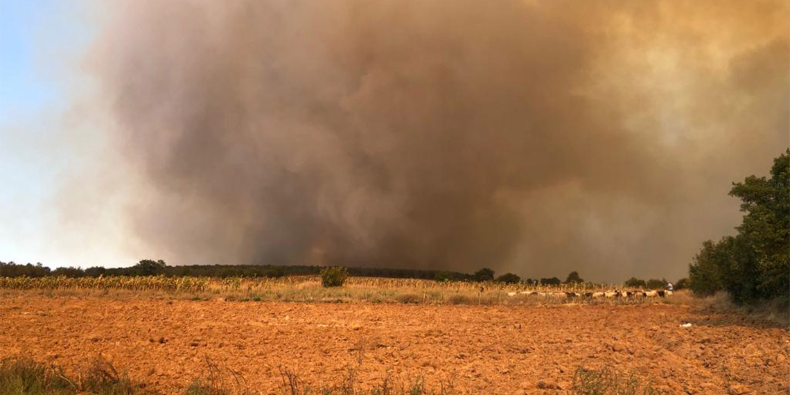 Bursa'nın Yenişehir ilçesinde orman yangını çıktı. Bölgeye sevk edilen ekipler, alevlere havadan ve karadan müdahale ediliyor.