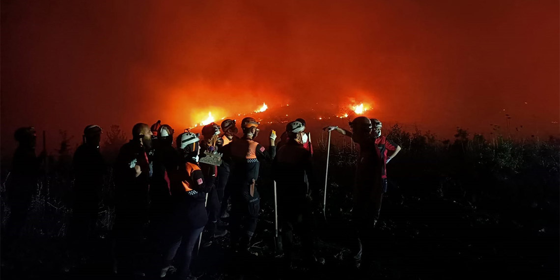 Bursa'nın Yenişehir ilçesinde orman yangını