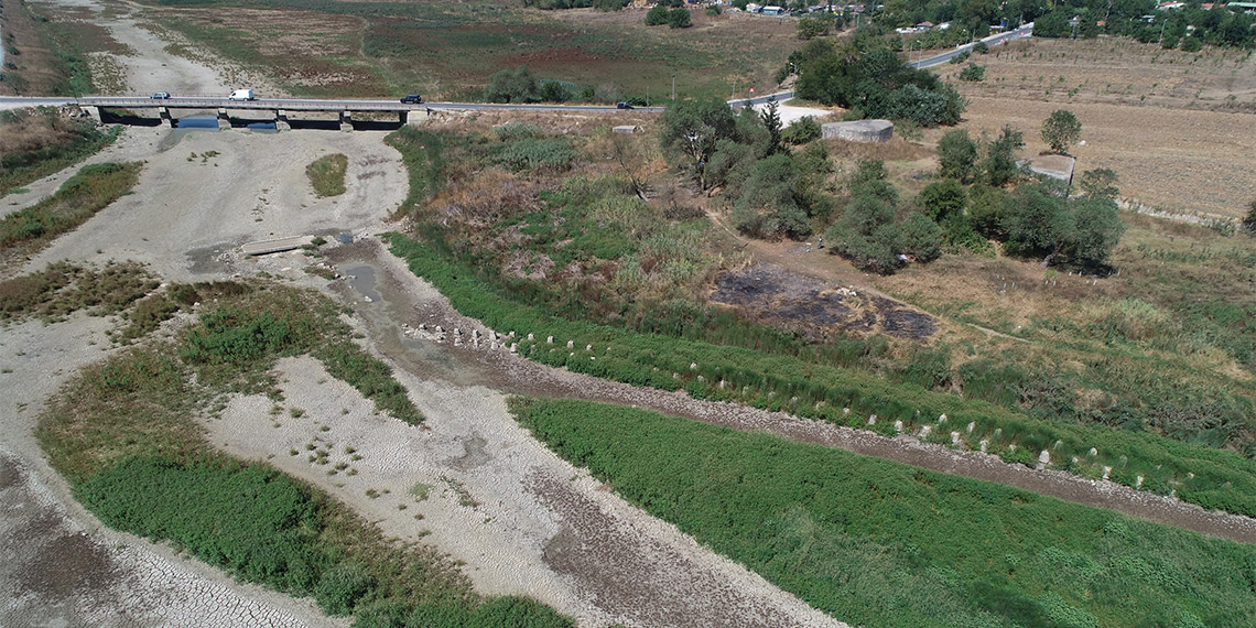 Baraj Gölü kurudu; Tarihi Çakmak Hattı'nı otlar sardı