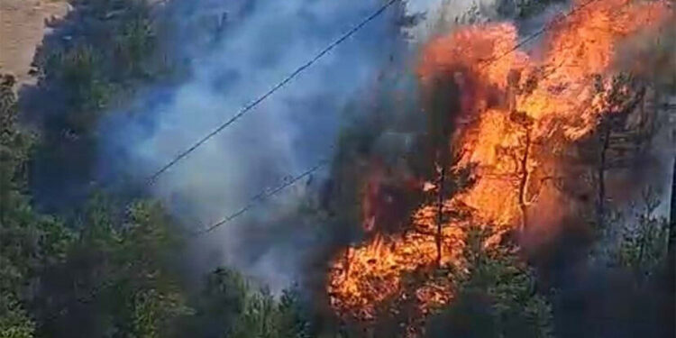 Çanakkale'de yangının ilk çıktığı anlar kamerada