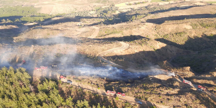Çanakkale'de çıkan orman yangını kontrol altına alındı