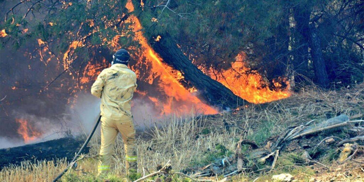 Çanakkale'de orman yangını çıktı; Köyler boşaltıldı