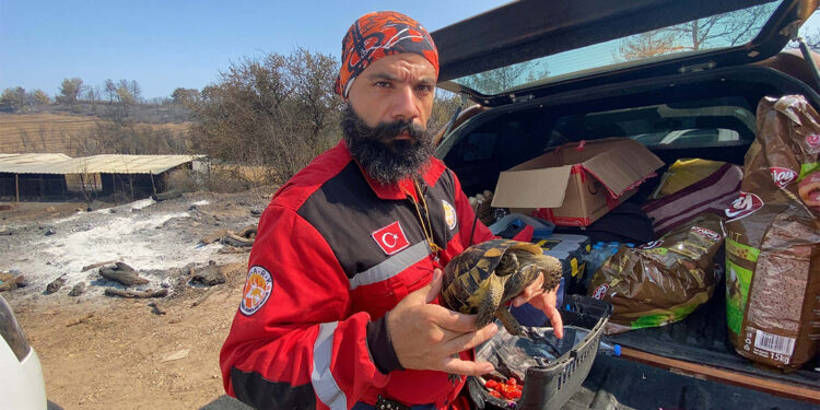 Orman işçileri yangını anlattı