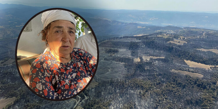 Ahırlarımız, bağlarımız, zeytinliklerimiz yandı