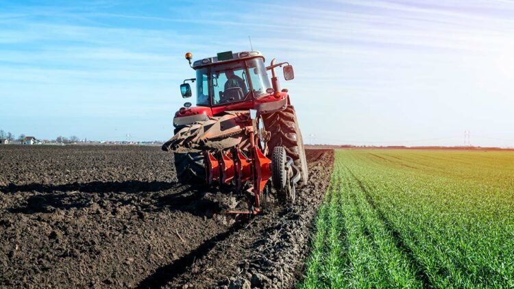 Haziranda tarımsal girdi fiyat endeksi arttı