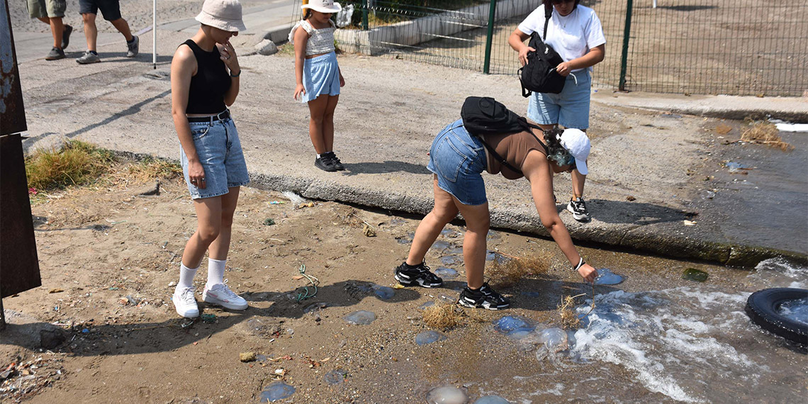 Denizanalarının yoğun olduğu yerlerden uzak durun